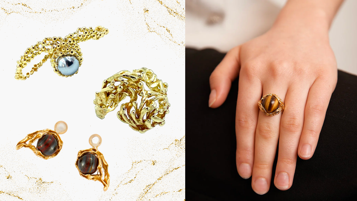 Focus Gilbert Albert