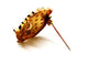 Broche Broche vintage en or jaune 18 carats et diamants 58 Facettes 1186403CN