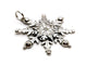Pendentif Pendentif Flocon Or blanc Diamant 58 Facettes 1186459CN