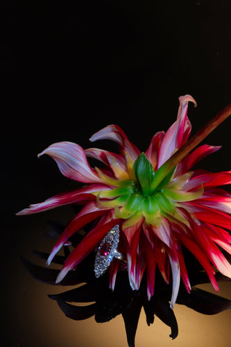 Bague 53 Bague victorienne en or rouge 18K avec rubis et diamants 58 Facettes 22298-0136