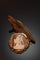 Broche Broche camée victorienne « The Farnese Bull » en or jaune 18K 58 Facettes 23271-0317