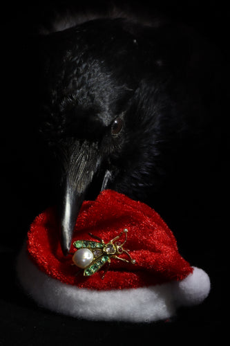 Broche Broche mouche victorienne en or jaune 14K avec diamants, rubis, émeraudes et perles 58 Facettes 24137-0100