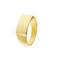Bague Bague chevalière homme à écusson rectangulaire en or jaune 18 ct 58 Facettes 29999