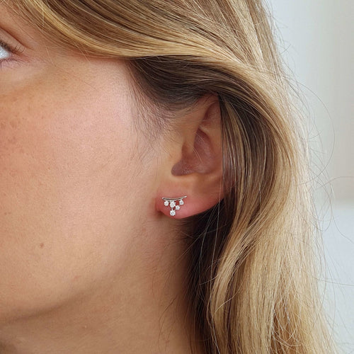 Boucles d'oreilles Boucles d'oreilles grappe diamants or blanc 58 Facettes