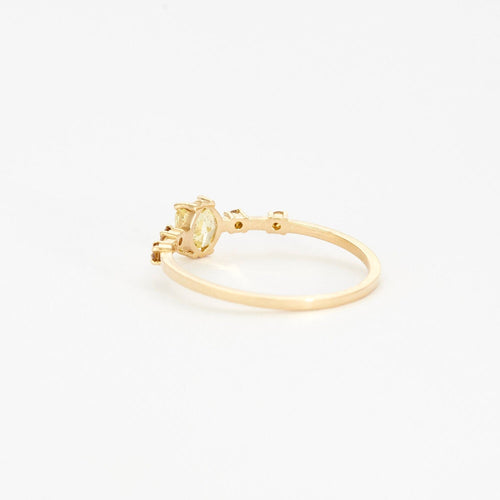 Bague 53 Bague en or et diamants de couleurs 58 Facettes DV2800-9