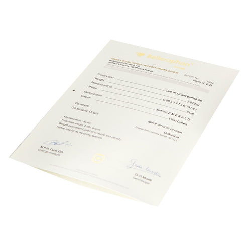 Bague 52 Bague en or gris , Emeraude de Colombie et diamants 58 Facettes DV11451-5-52-2