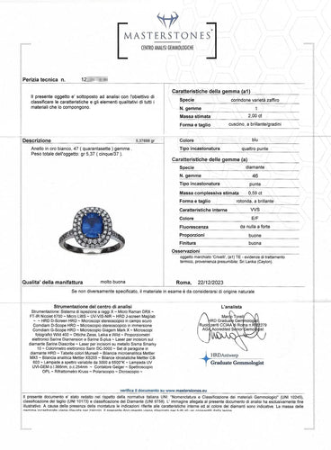 Bague 55 Crivelli - Bague en or blanc 18 carats avec saphir de Ceylan et diamants 58 Facettes 14298