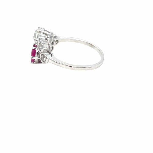 https://cdn.shopify.com/s/files/1/1477/7370/files/IMG-20250213-WA0009.jpg?v=1739445062