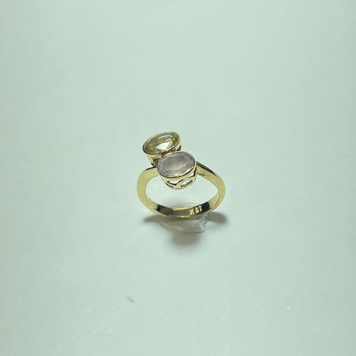 Bague 51 Bague moderne en or jaune 18 carats avec deux pierres claires 58 Facettes 260041