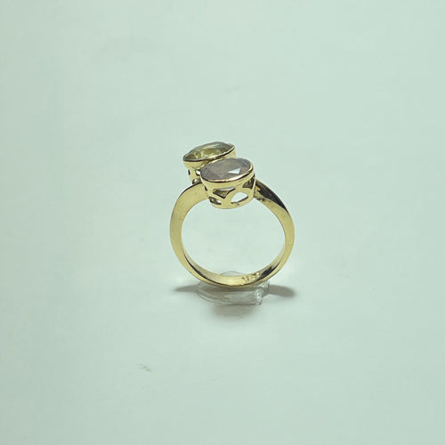 Bague 51 Bague moderne en or jaune 18 carats avec deux pierres claires 58 Facettes 260041