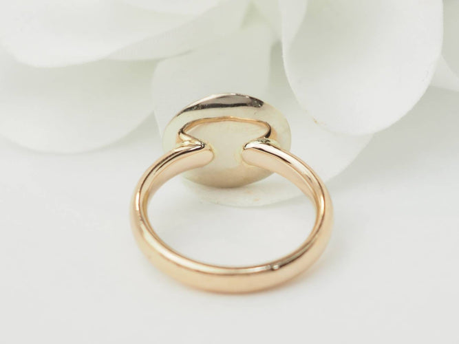 https://cdn.shopify.com/s/files/1/0750/3799/9372/files/P1010962JPG_68f214aa100f04.85458122.jpg?v=1760794005