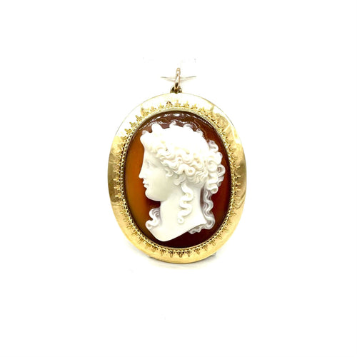 Pendentif Pendentif camée en volume en or jaune 750 et agate 58 Facettes Z15B51550