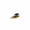 Pendentif Pendentif scarabée en or jaune 750 et lapis-lazuli 58 Facettes Z15B51683