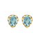 Boucles d'oreilles puces en or jaune et topaze 58 Facettes DV5707-16