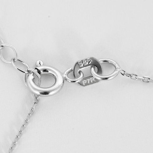 Collier Collier en Or blanc 14k (585 millièmes) et Diamant 58 Facettes DV35669-5