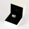 Bague 52 Chanel - Plume - Bague en or blanc et diamants : 0,30 carat 58 Facettes DV27412-3