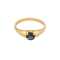Bague 51 Bague en Or jaune 18k (750 millièmes) et Saphir 58 Facettes DV35410-9