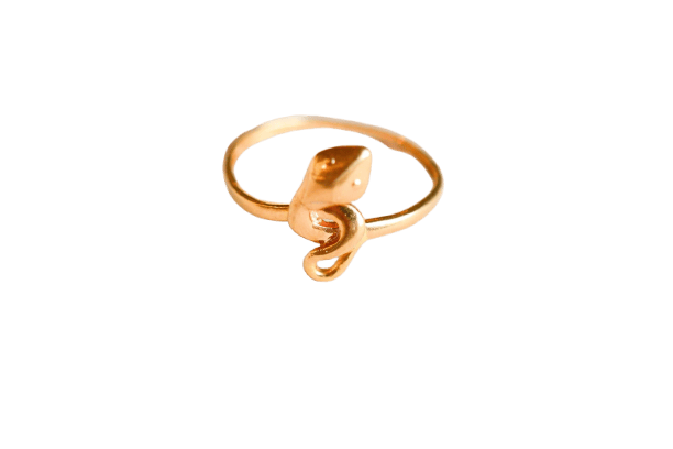 Bague 52 Bague serpent en or jaune 18 carats 58 Facettes 3710