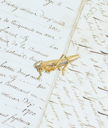 Broche Broche sauterelle ancienne en or jaune 18kt et diamants 58 Facettes