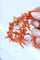 Collier Collier branches de corail naturel en or rose 18k 58 Facettes