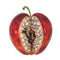 Pendentif Pendentif pomme et ver en or jaune 14 carats et diamants 58 Facettes G13352