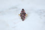Bague 55 Bague marquise en or rose 18kt et grenats sur paillon 58 Facettes
