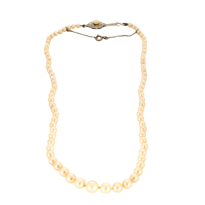 Collier or blanc perle de culture