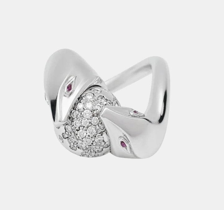 Trouble de Boucheron : un aperçu d’histoire