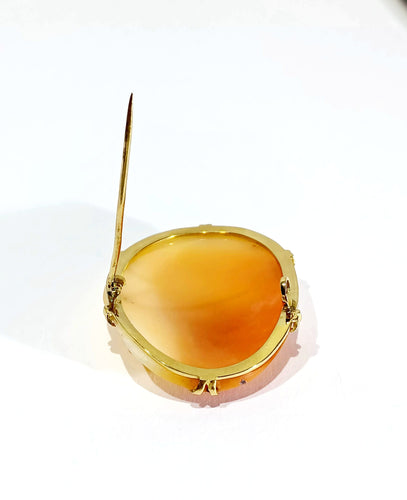 Broche Broche Camée Coquillage Monture or jaune 58 Facettes