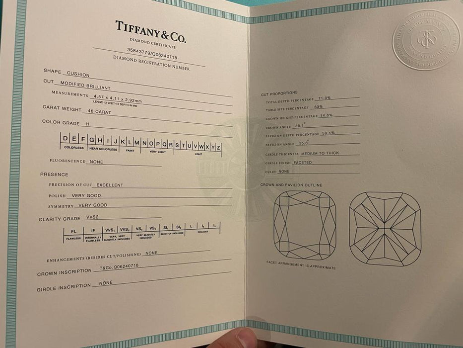 Bague Tiffany & Co - Bague de fiançailles double halo taille coussin « Soleste » avec un anneau de diamants en platine 58 Facettes ME-TIF-RNG