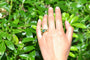 Bague 54 Bague signée Van Cleef & Arpels chrysoprase 58 Facettes 26966dv