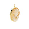 Pendentif Broche pendentif camée en or jaune 58 Facettes 37486