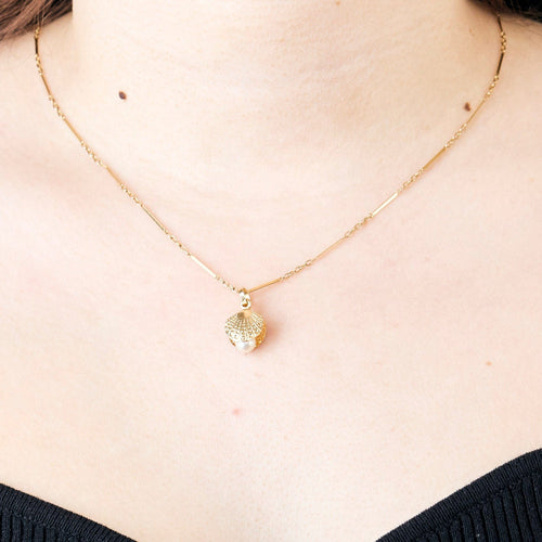 Collier Chaine et pendentif coquillage 58 Facettes MEA43005