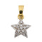 Pendentif Pendentif Etoile Or blanc Diamant 58 Facettes 2927108CN