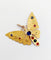 Pendentif Pendentif or rose papillon, pierres de couleur et perles 58 Facettes A05324