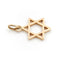 Pendentif Pendentif Etoile de David Or jaune 58 Facettes 1783195CN