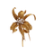 Broche Or 18K Diamants