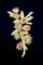 Broche Broche braches de noisetier sertie de brillants et rubis en or jaune 58 Facettes
