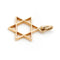 Pendentif Pendentif Etoile de David Or jaune 58 Facettes 1783195CN