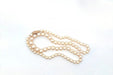 Collier Collier perles de culture et fermoir en or 58 Facettes 26196