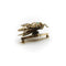 Broche Broche victorienne en or avec diamants taille rose et insecte tremblant 58 Facettes A2001O