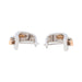 Boucles d'oreilles Guy Laroche Boucles d'oreilles Dormeuses Or blanc 58 Facettes 3298906CN