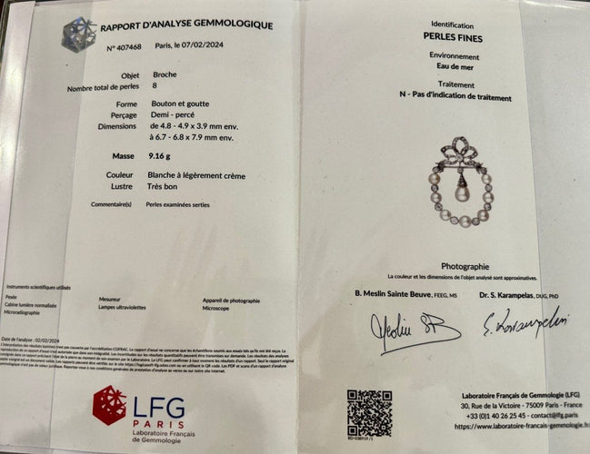 Broche Broche Belle Epoque en Platine, Diamants et Perles Fines 58 Facettes