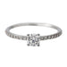 Ring 49 Solitaire Ring White Gold Diamond 58 Facettes 2773202CN
