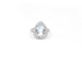 Bague Bague en or blanc avec une aigue-marine de 3,63 ct et des diamants de 0,66 ct 58 Facettes 14262