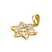 Pendentif Pendentif Etoile Or jaune Diamant 58 Facettes 3312002CN