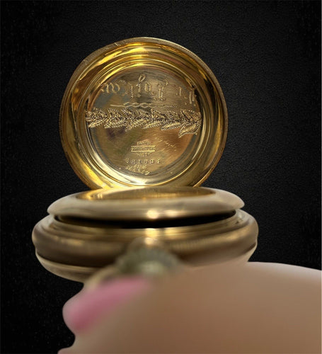 Montre Elgin National Watch Co. avec caisse Fahys Montauk n.1 58 Facettes