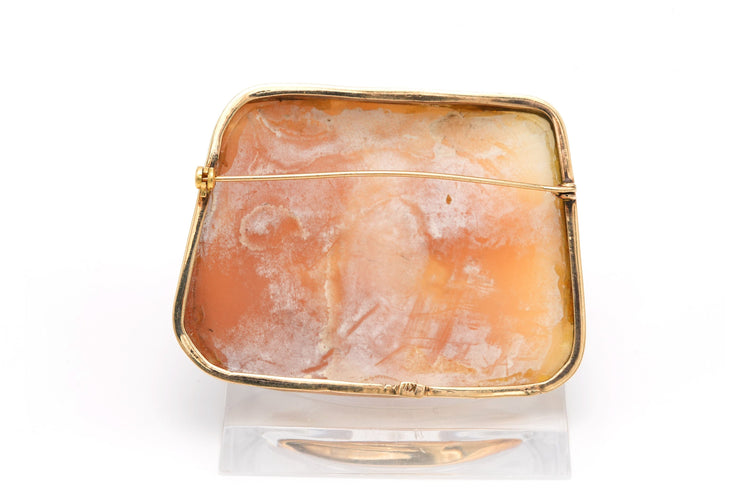 Broche Broche Art Nouveau en or jaune sertie d'un camée coquillage 58 Facettes 22921