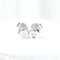 Boucles d'oreilles Boucles d'oreilles en or blanc serties de diamants taille brillant 58 Facettes J010000357