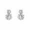 Boucles d'oreilles Boucles d'oreilles  Puces Or blanc Diamant 58 Facettes 4155737CN